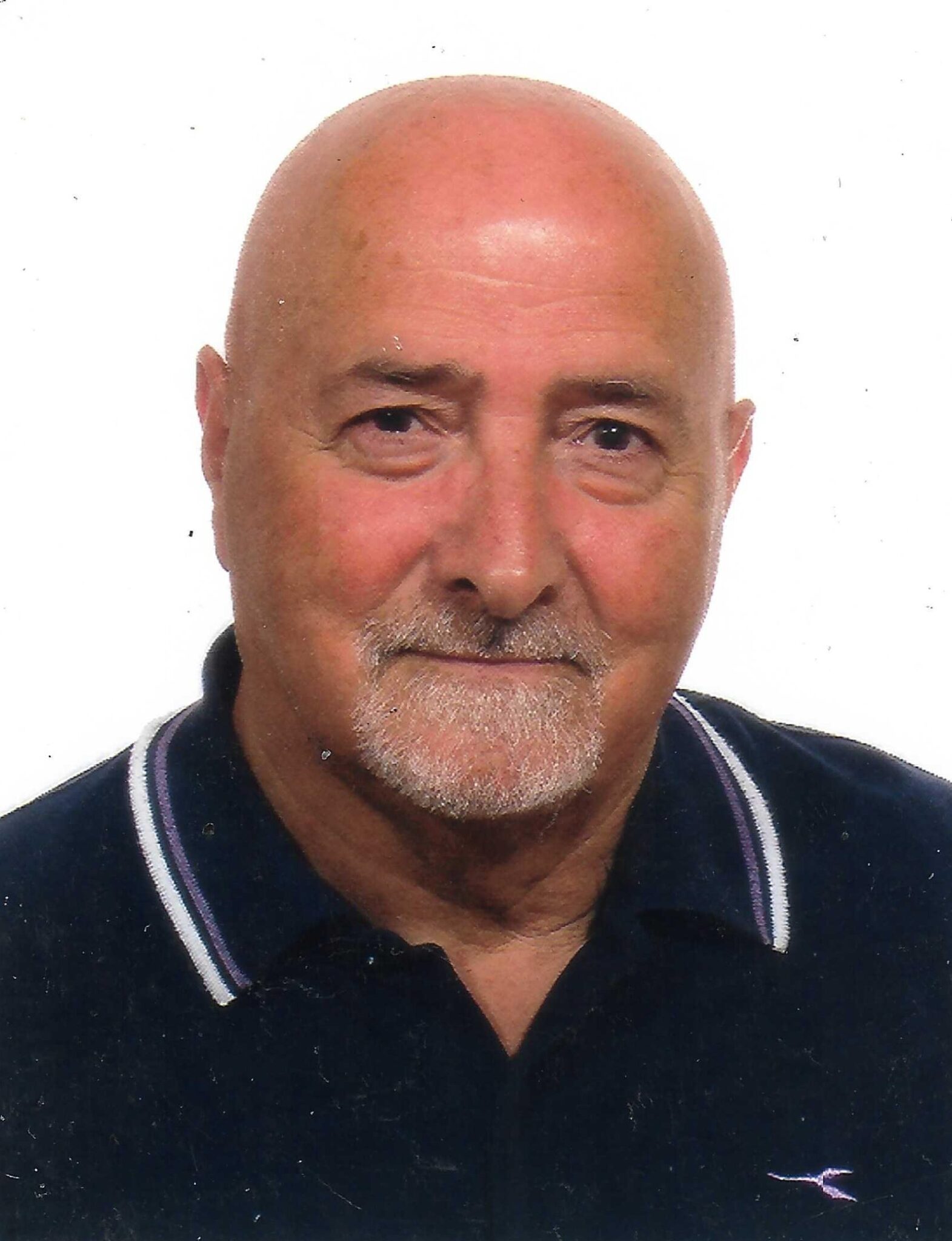 Costantino Festa